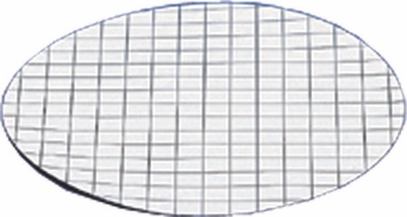 Gridded Membrane Filters