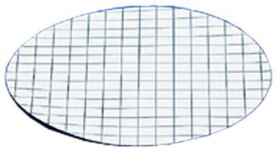 Gridded Membrane Filters