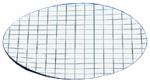 Gridded Membrane Filters
